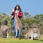 Beautiful,Young,Woman,Feeding,Kangaroos,In,Phillip,Island,Wildlife,Park,